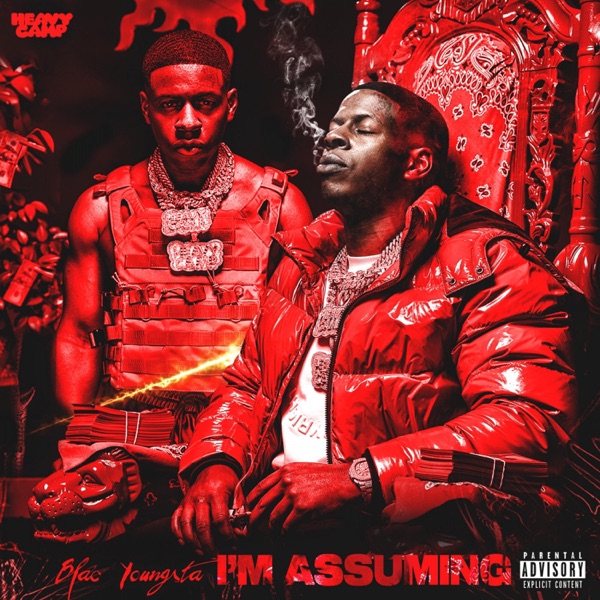 I'm Assuming - Single album cover
