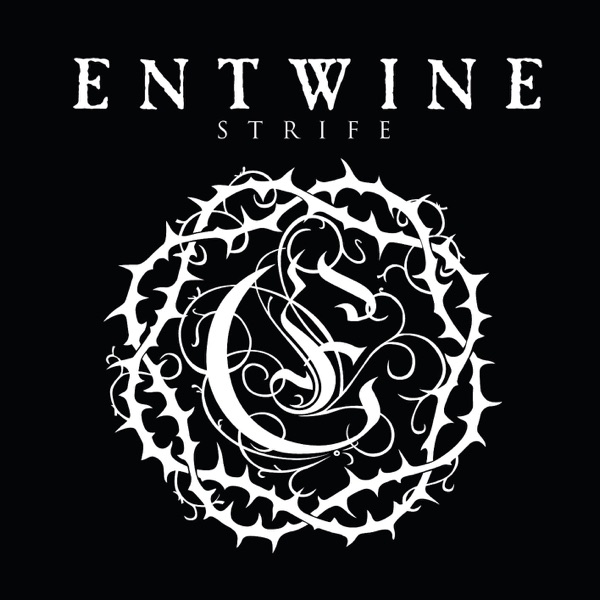 The Strife - Single album cover