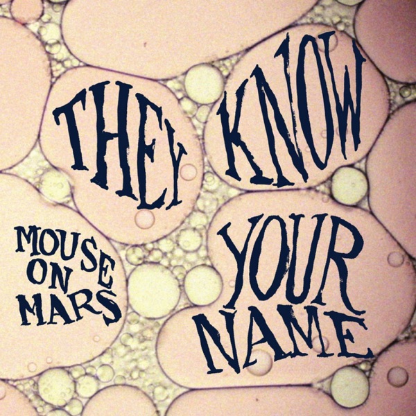 They Know Your Name - Single album cover