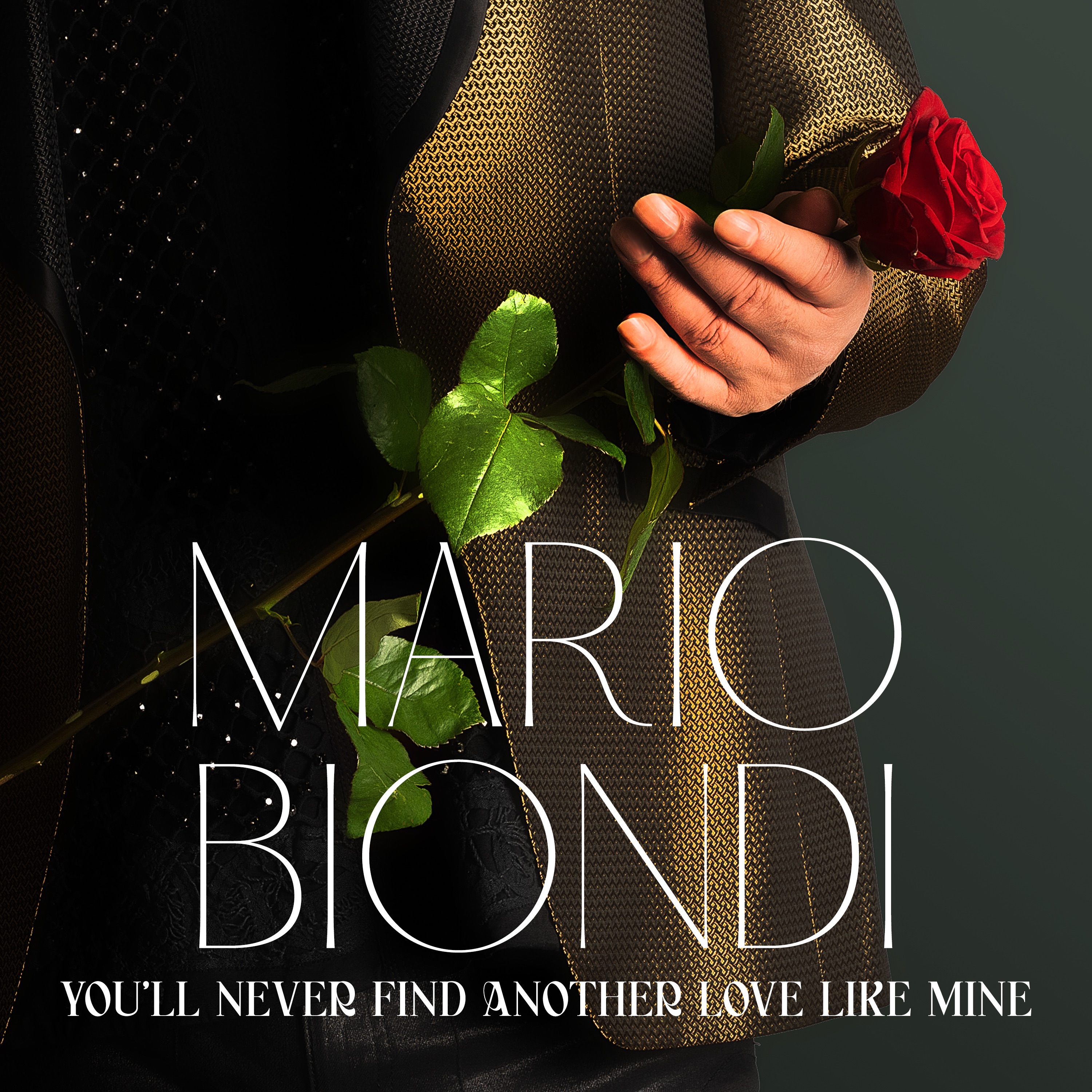 You'll Never Find Another Love Like Mine - Single album cover