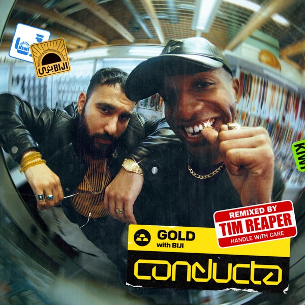 Gold (Tim Reaper Remix) - Single album cover