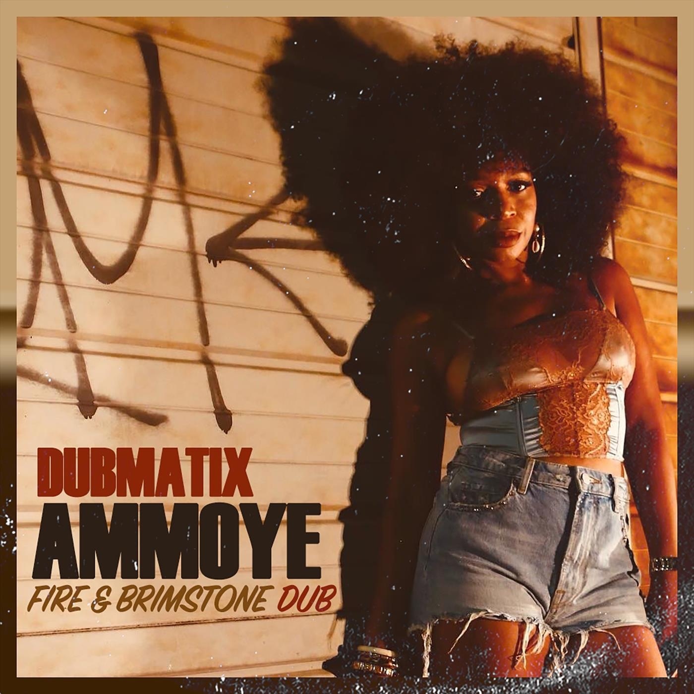 Fire & Brimstone Dub - Single album cover