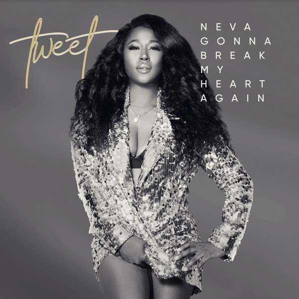 Neva Gonna Break My Heart Again - Single album cover