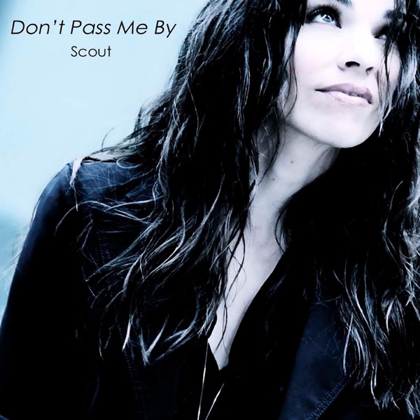 Don't Pass Me By - Single album cover