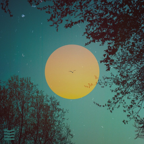 Orange Teal - Single album cover