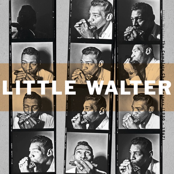 The Complete Chess Masters (1950 - 1967) album cover