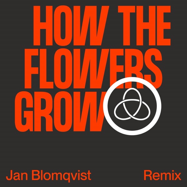 How the Flowers Grow (Jan Blomqvist Remix) [feat. Pixx] - Single album cover