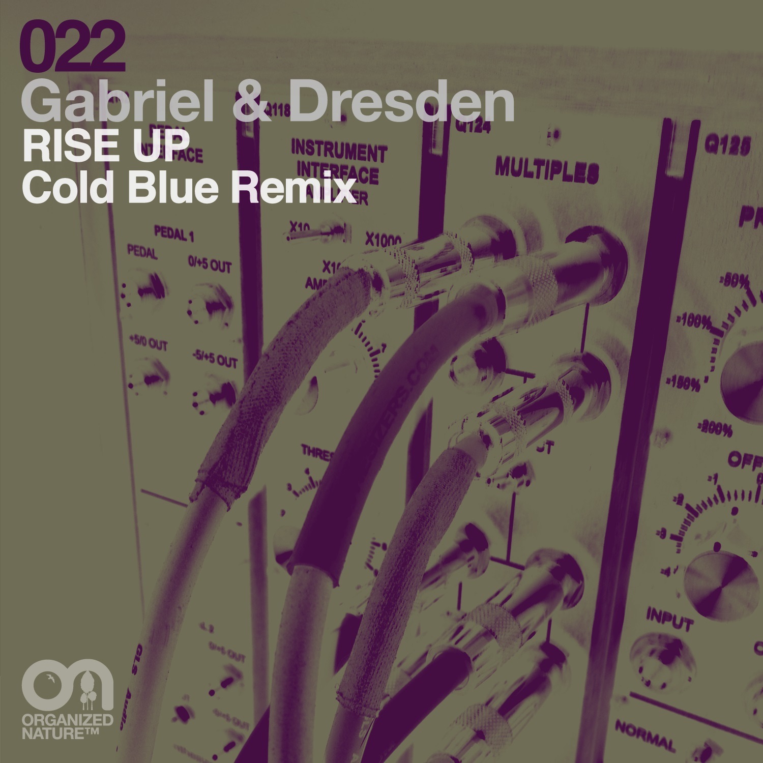 Rise up (Cold Blue Remix) - Single album cover