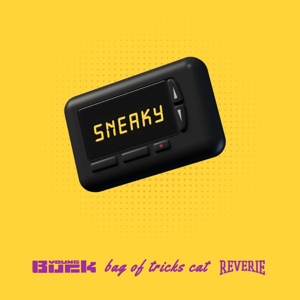 Sneaky - Single album cover