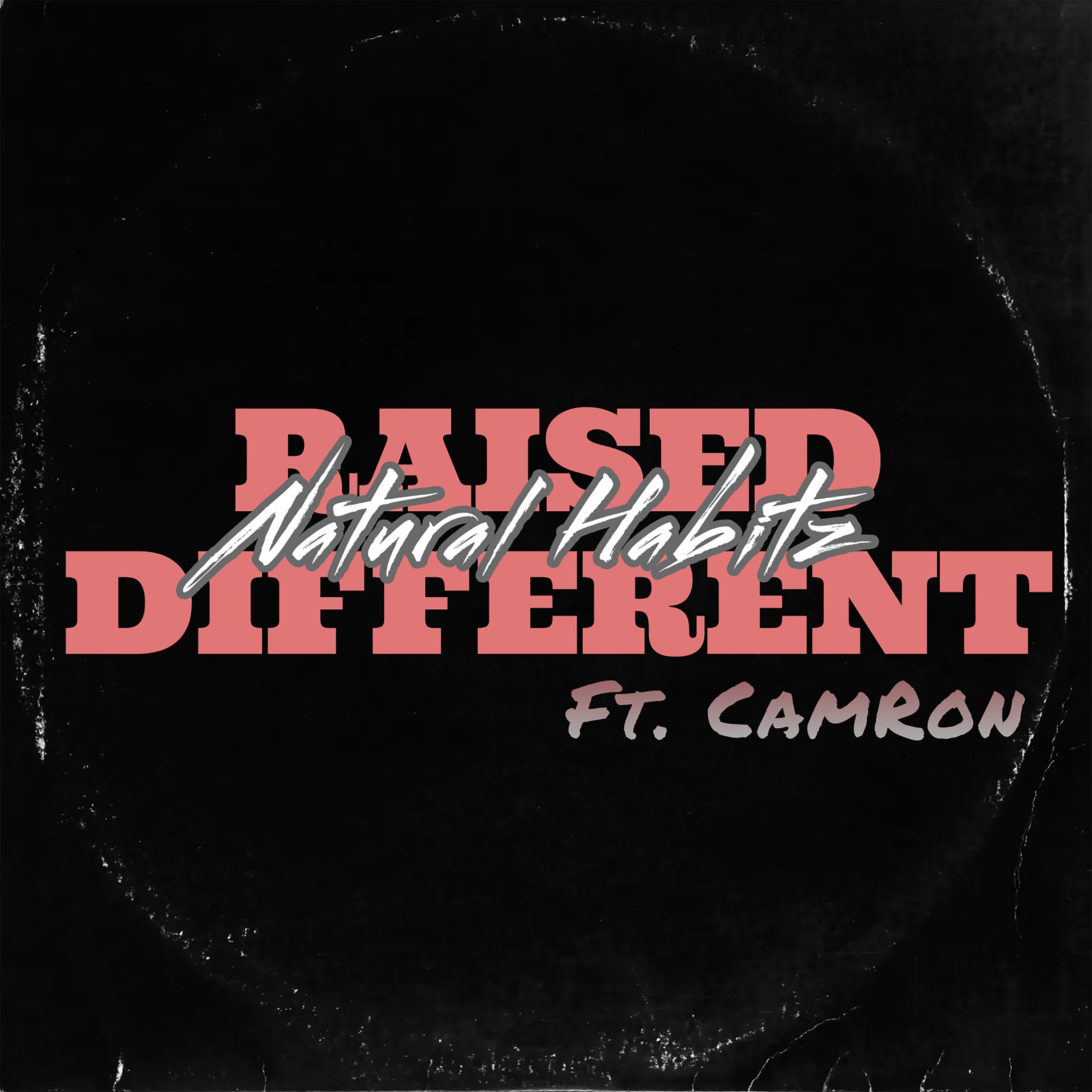 Raised Different (feat. Cam’ron) - Single album cover