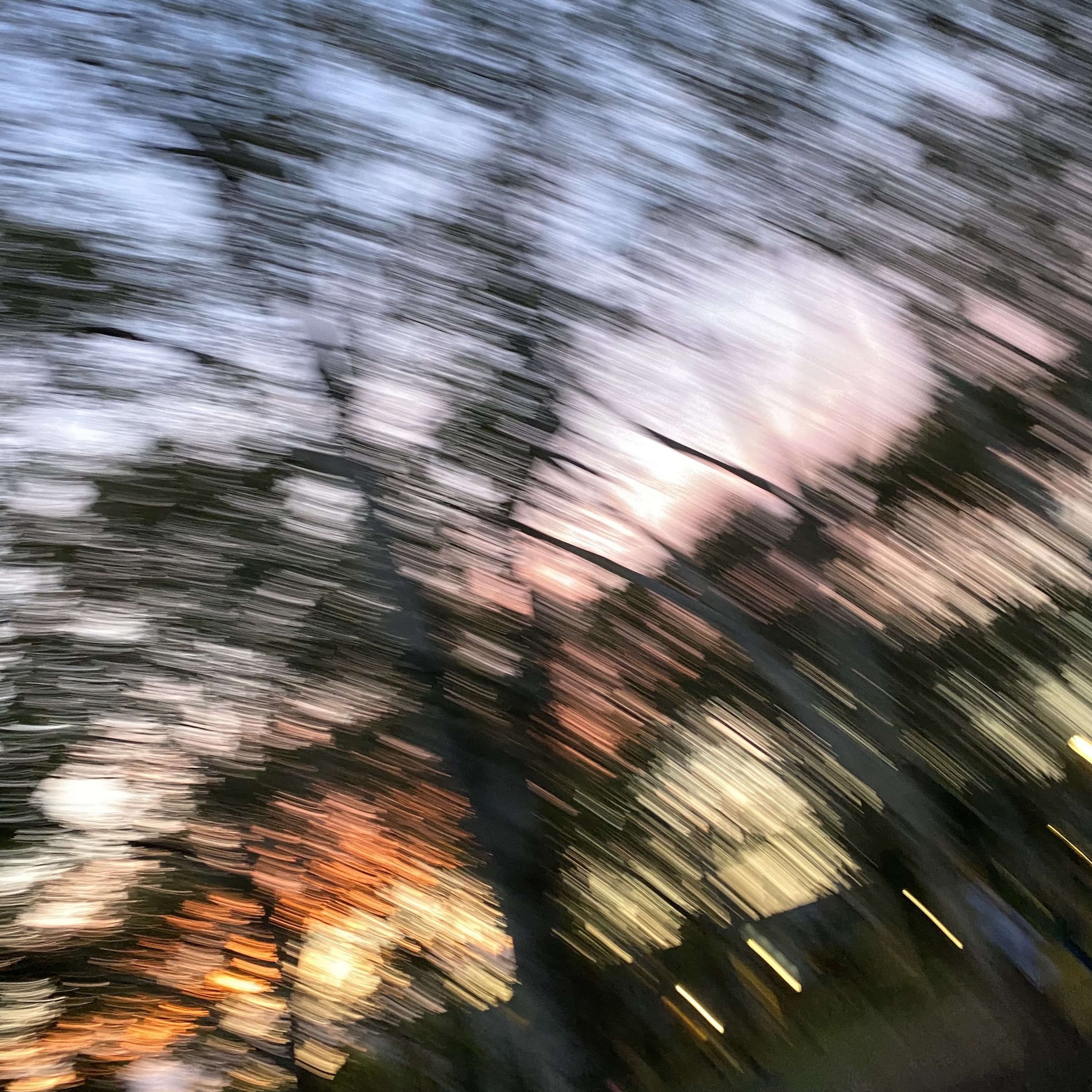 Come Home Soon / Lucky Guy - Single album cover