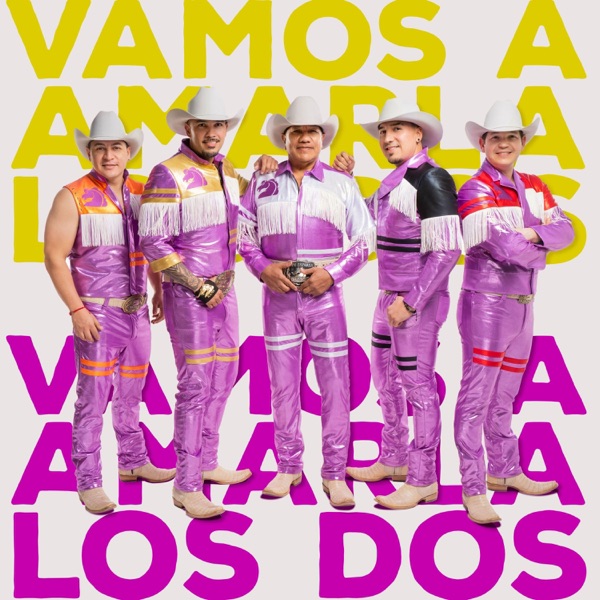Vamos A Amarla Los Dos - Single album cover