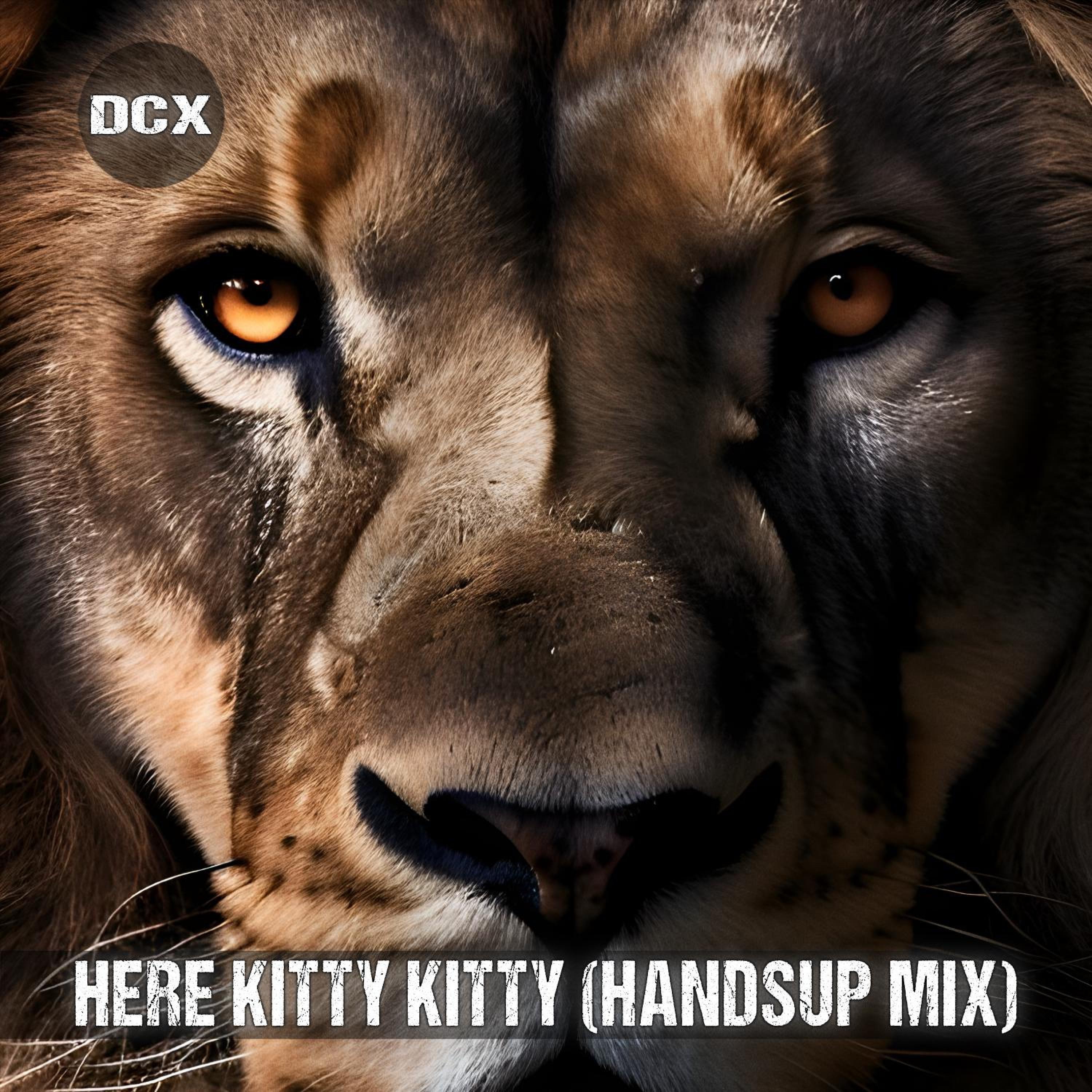 Here Kitty Kitty (Handsup Mix) - Single album cover