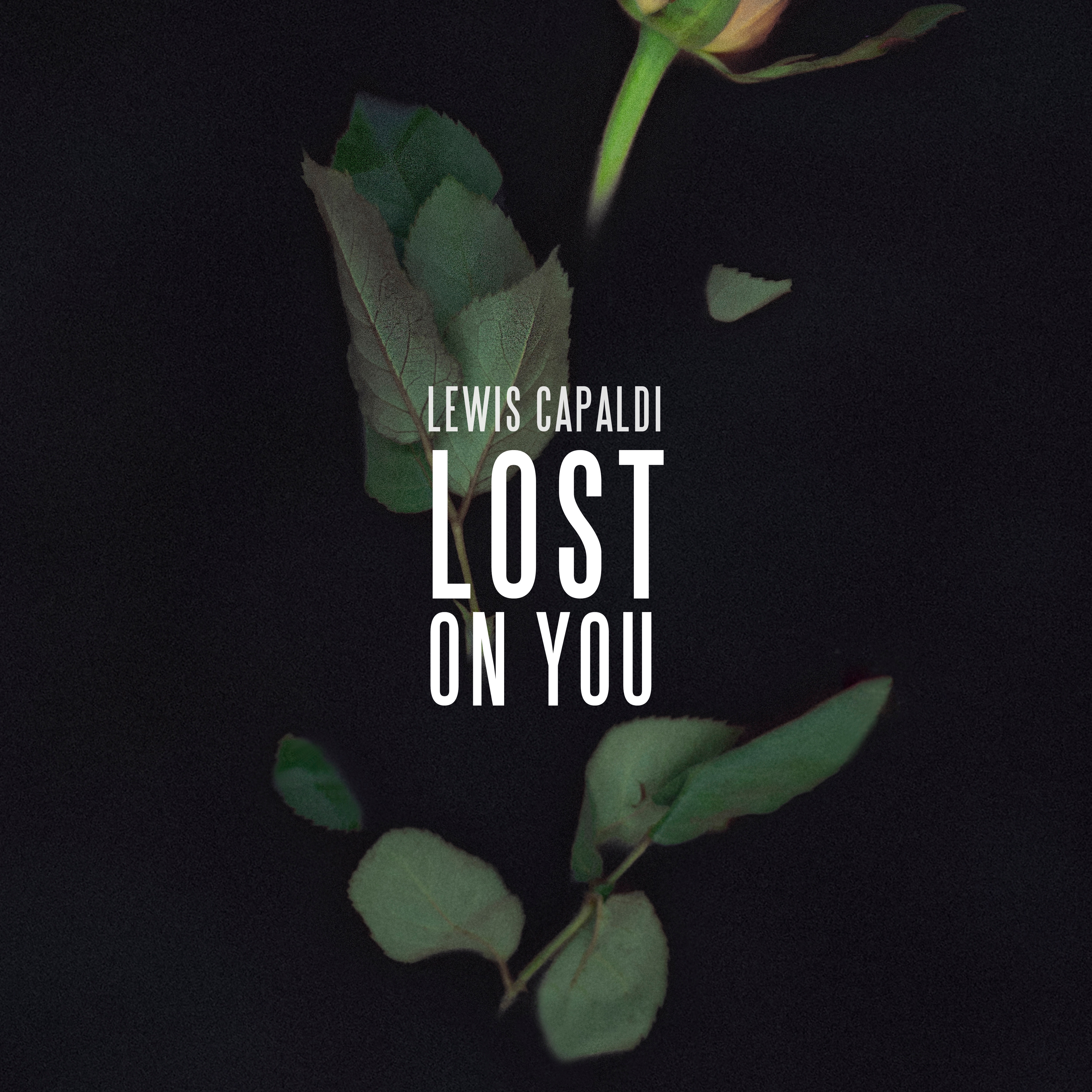 Lost On You - Single album cover