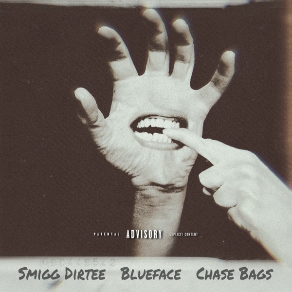 Don't Bite the Hand (Remix) [feat. Blueface & Chase Bags] - Single album cover