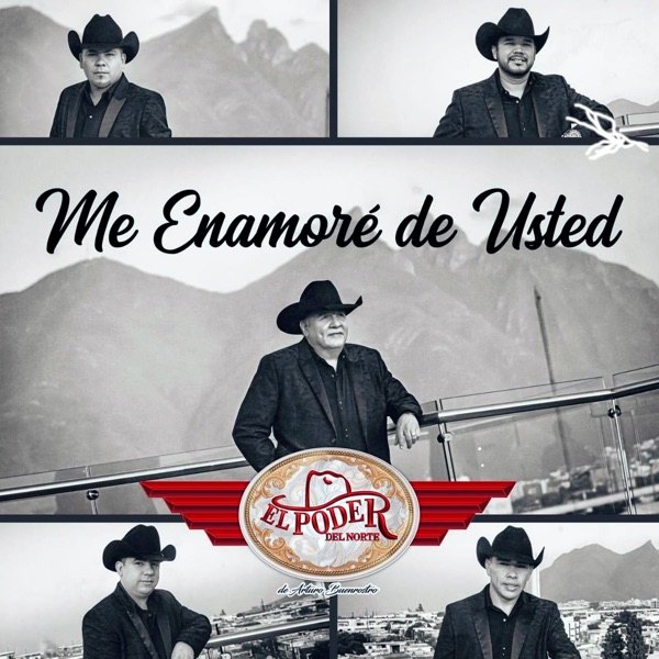 Me Enamoré de Usted - Single album cover