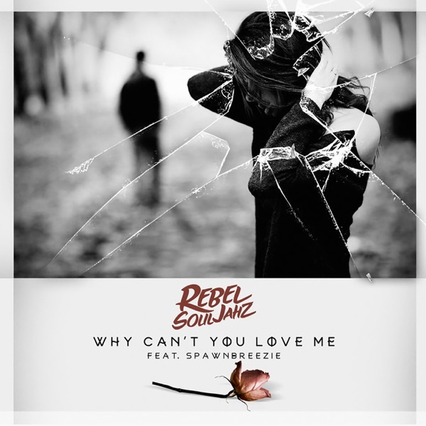Why Can't You Love Me (feat. Spawnbreezie) - Single album cover