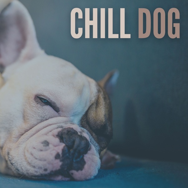 Chill Dog album cover