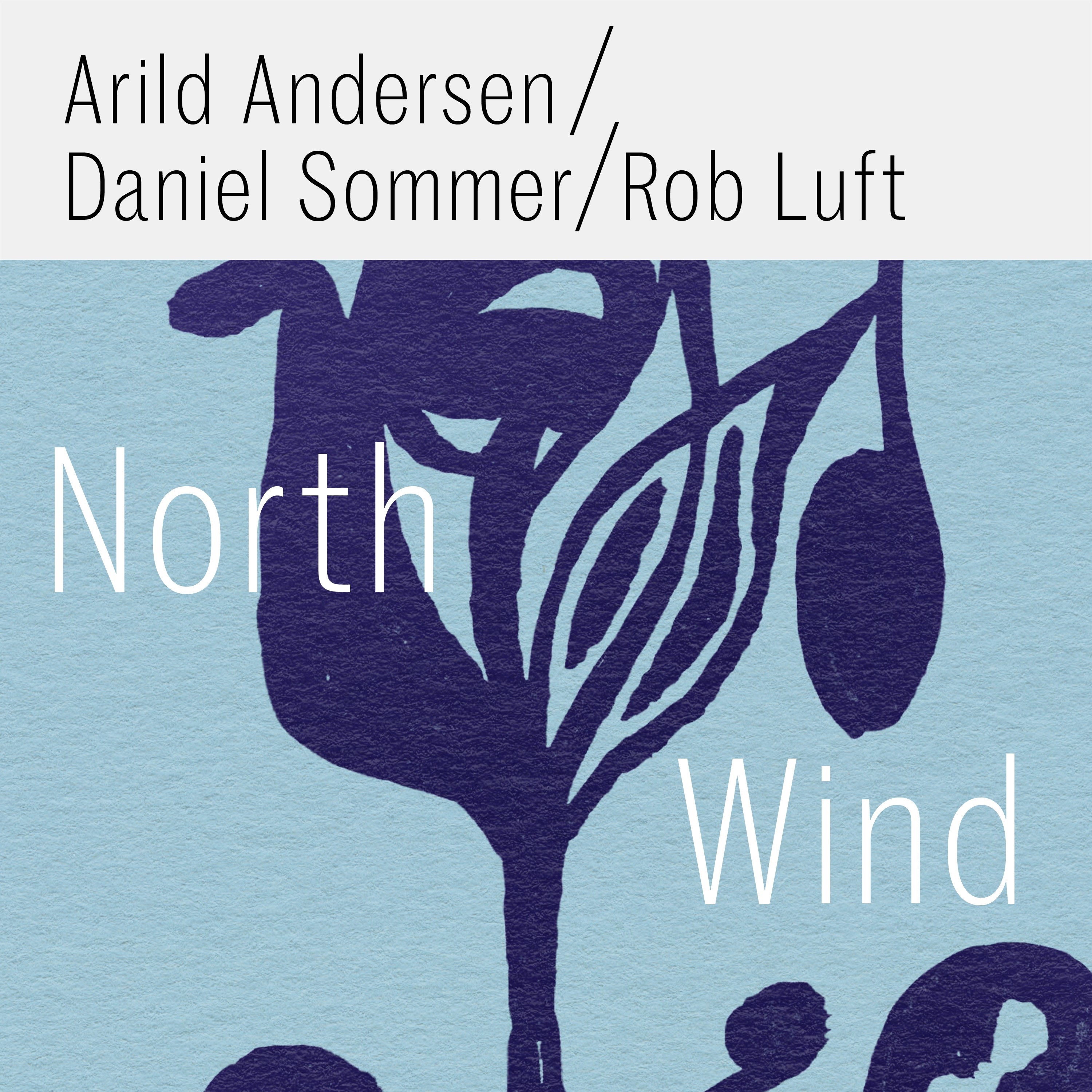 North Wind (feat. Rob Luft) - Single album cover