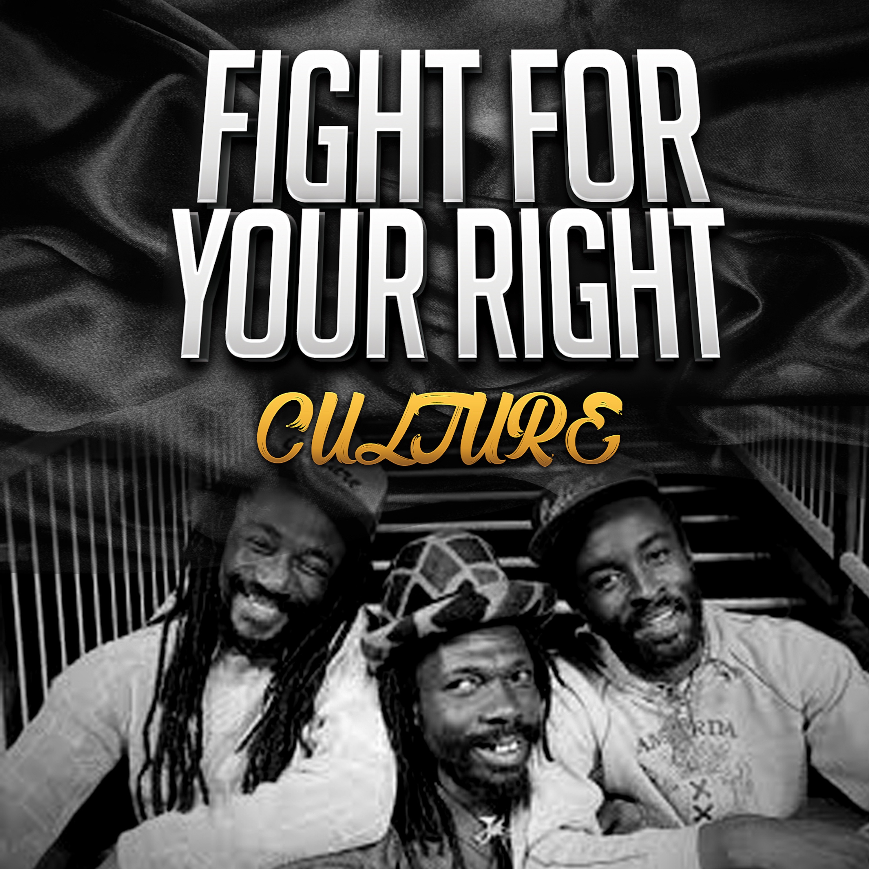 Fight for Your Right album cover