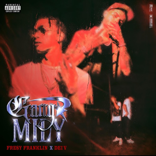Gang Mily - Single album cover