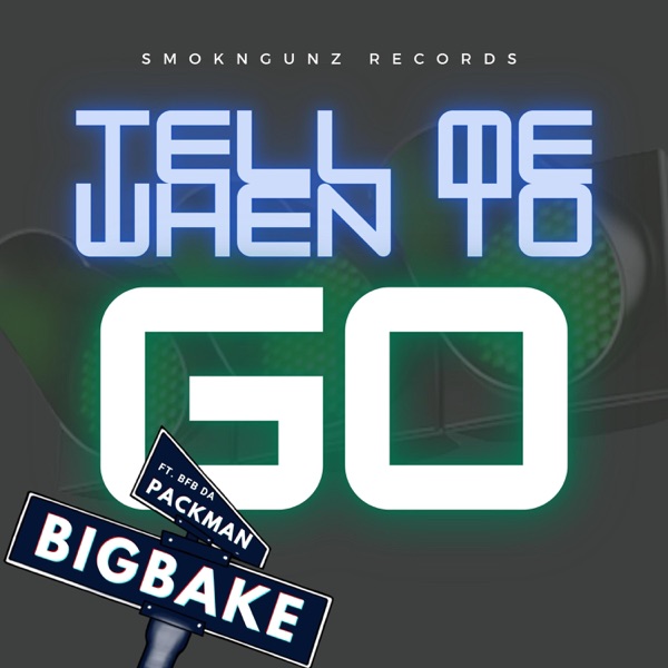 Tell Me When To Go (feat. Bfb Da Packman) - Single album cover