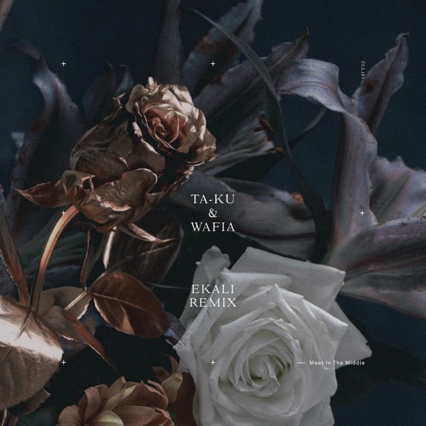 Meet In The Middle (Ekali Remix) - Single album cover