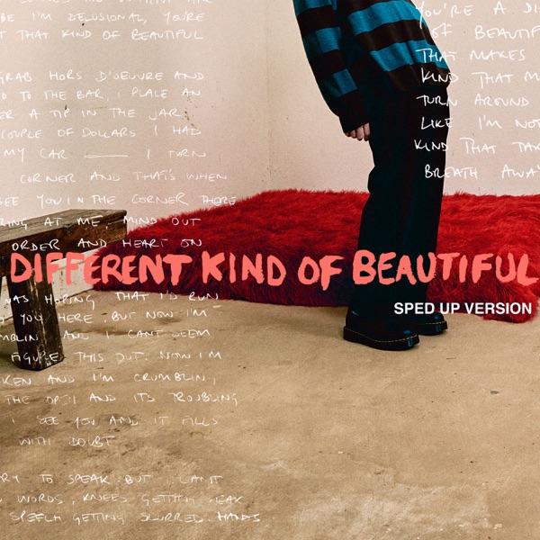 Different Kind Of Beautiful (Sped Up Version) - Single album cover