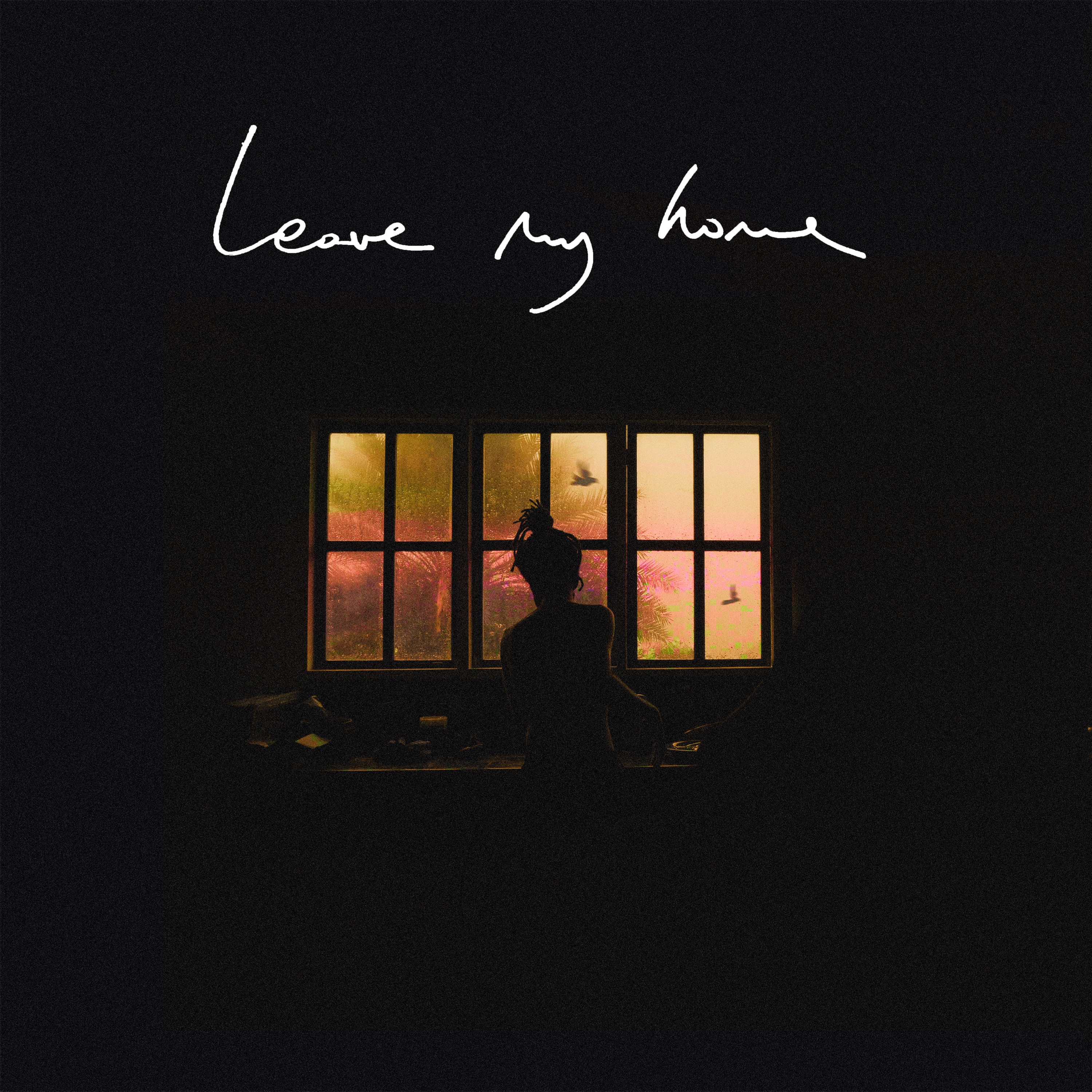 Leave My Home - Single album cover