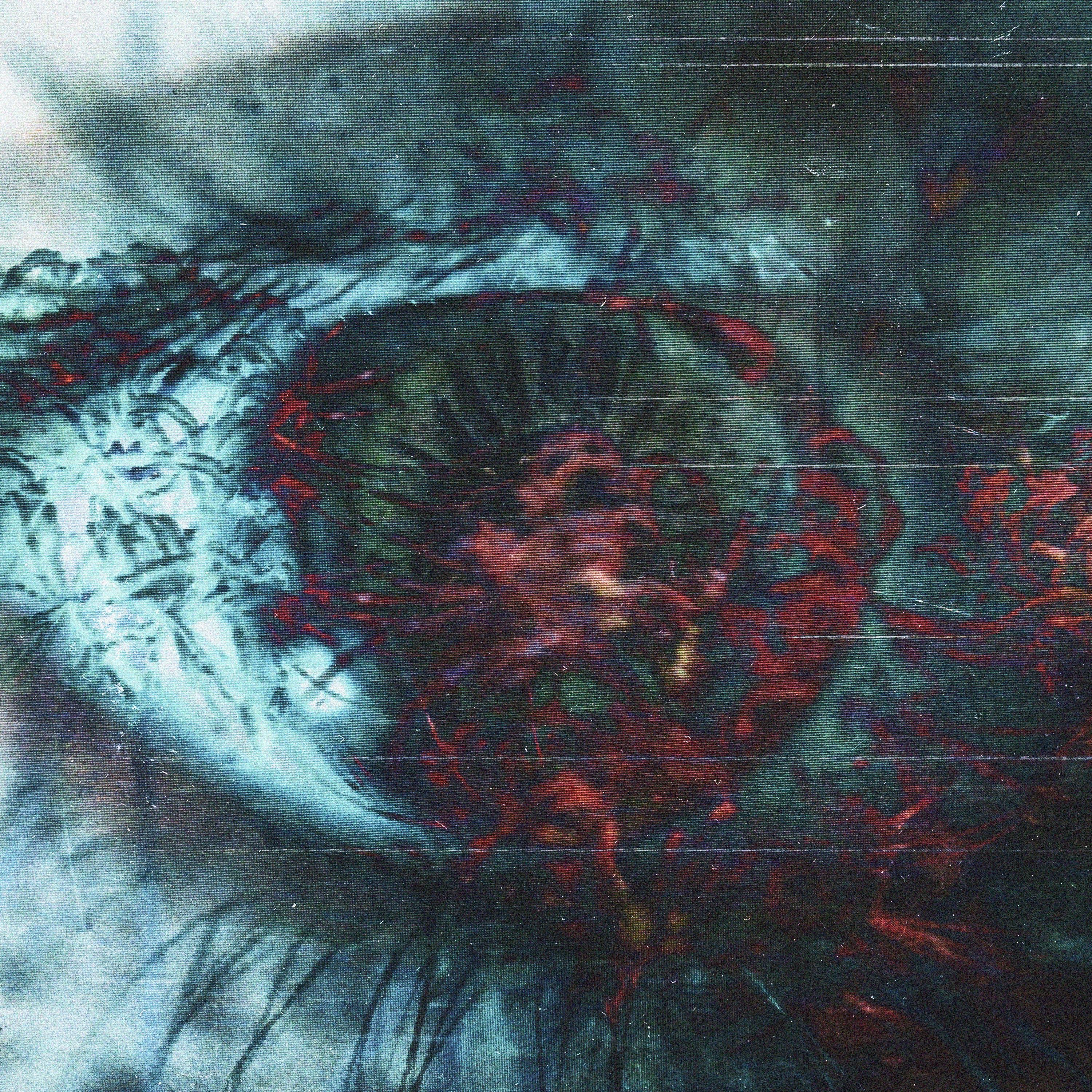 Blooming - Single album cover