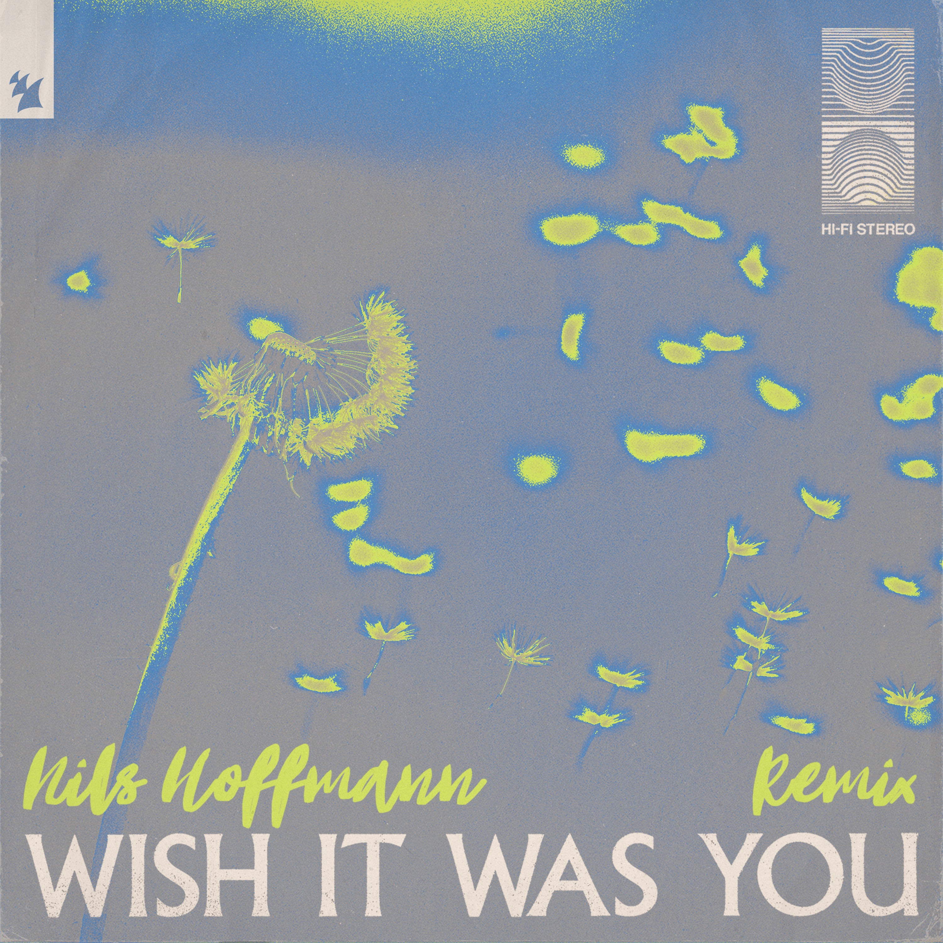 Wish It Was You (feat. Cate Downey) [Nils Hoffmann Remix] - Single album cover