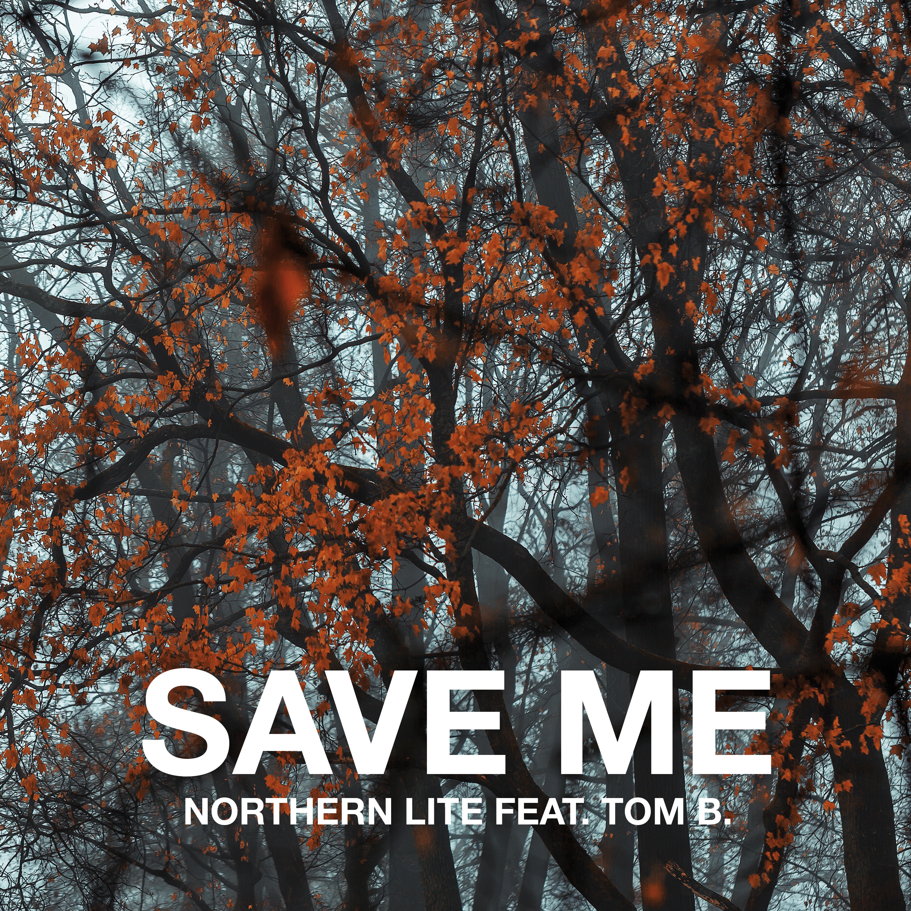 Save Me - Single album cover