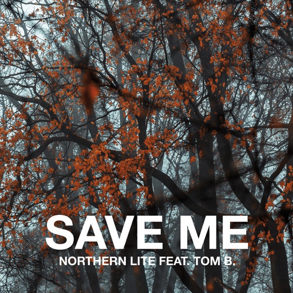 Save Me - Single album cover