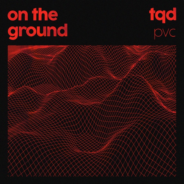 on the ground (feat. PVC, Royal T, DJ Q & Flava D) - Single album cover