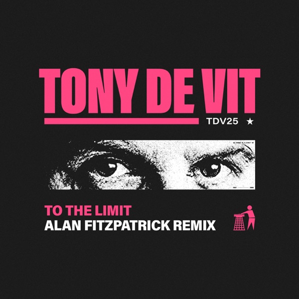 To the Limit (Alan Fitzpatrick Remix) - Single album cover