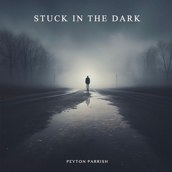 Stuck In the Dark - Single album cover