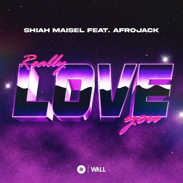 Really Love You (feat. Afrojack) - Single album cover