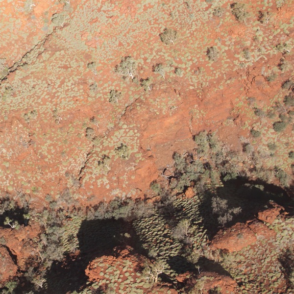 Tropic of Capricorn album cover