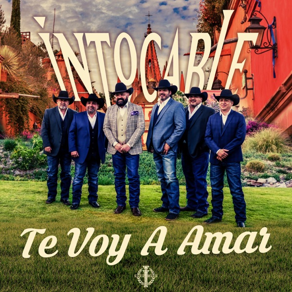 Te Voy a Amar - Single album cover