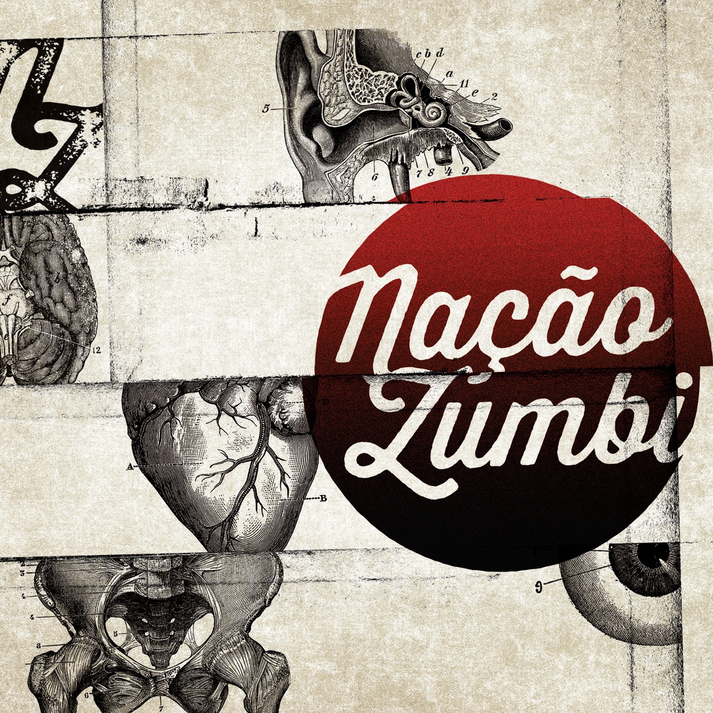 Nação Zumbi album cover