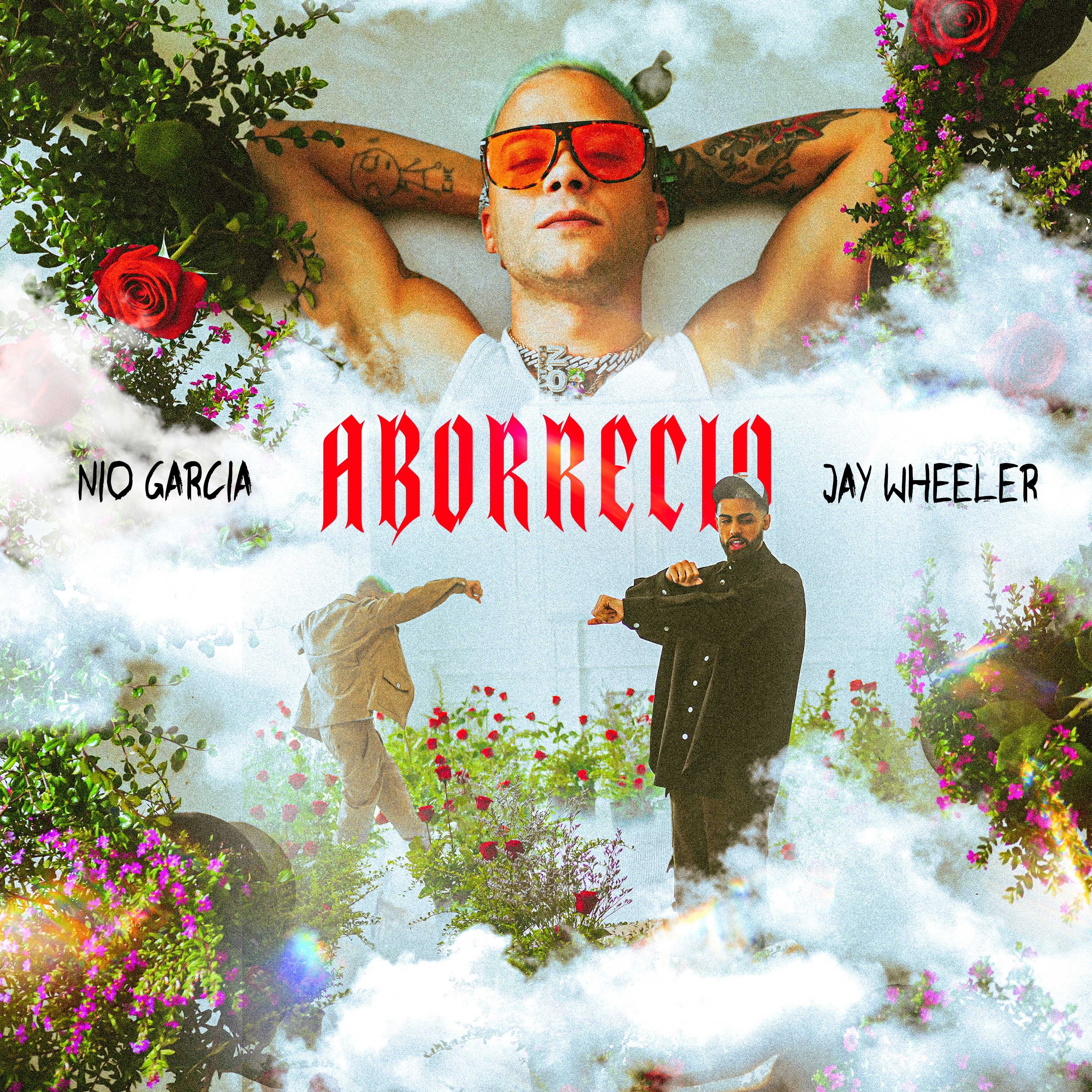Aborrecio - Single album cover
