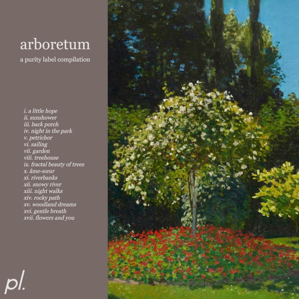 A Little Hope - Single album cover