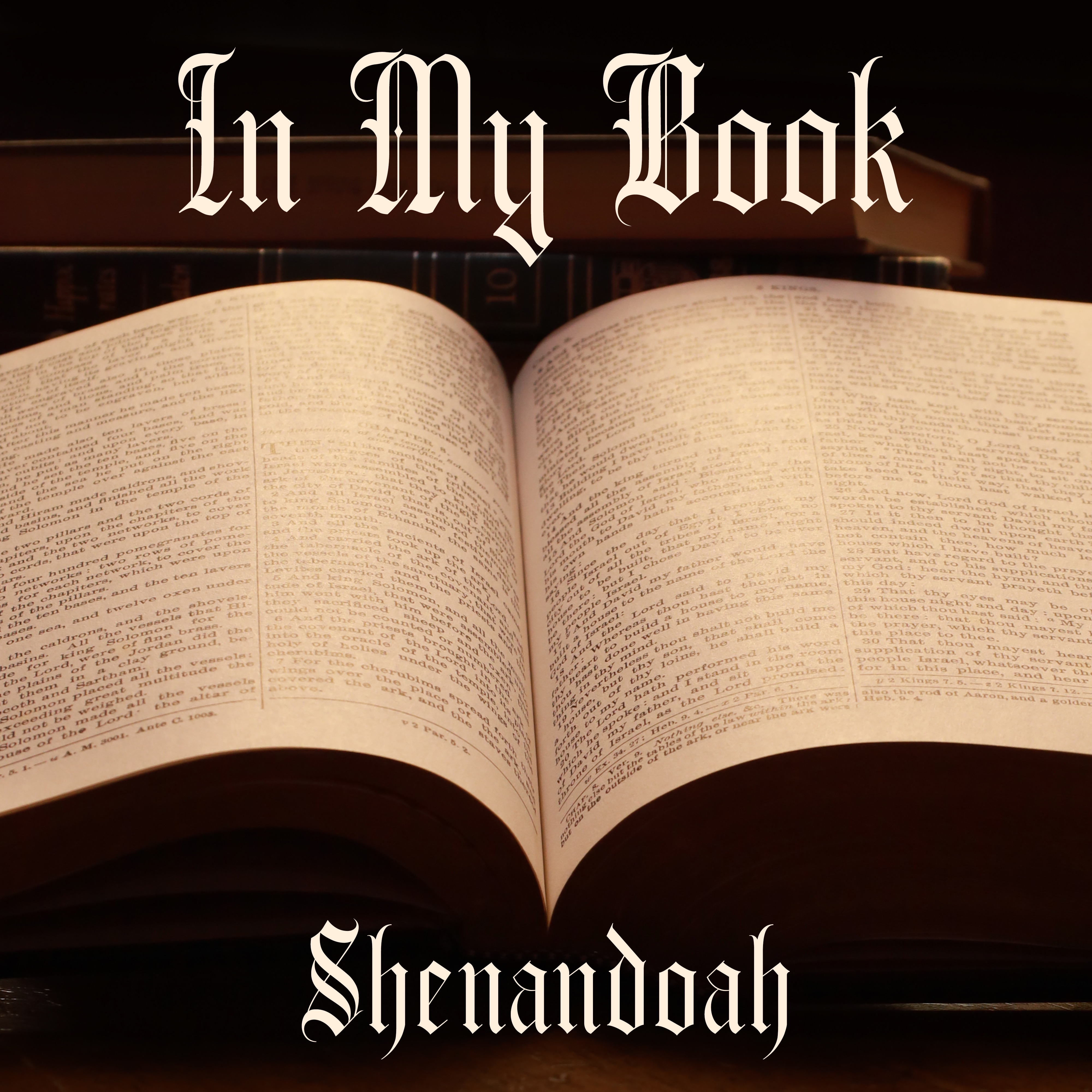 In My Book - Single album cover