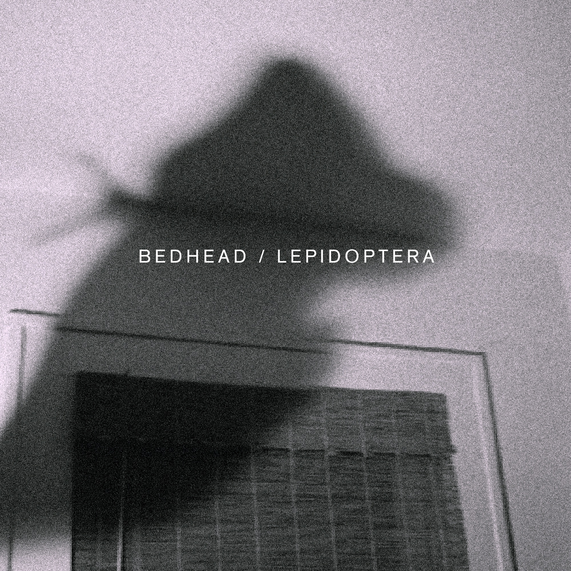 Lepidoptera - Single album cover