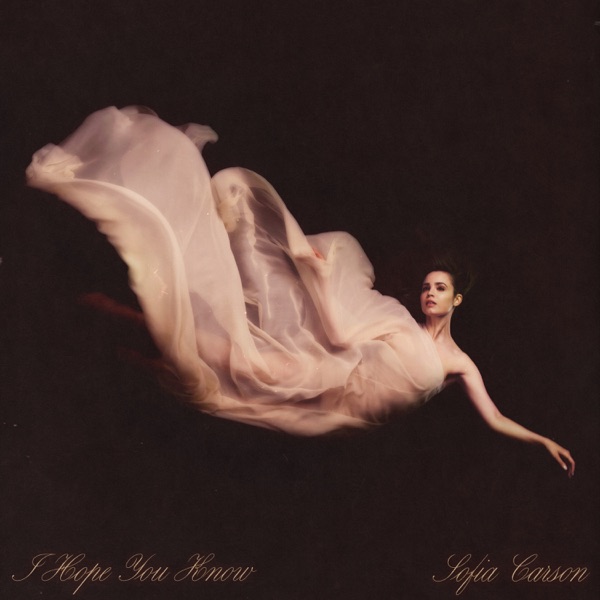 I Hope You Know - Single album cover