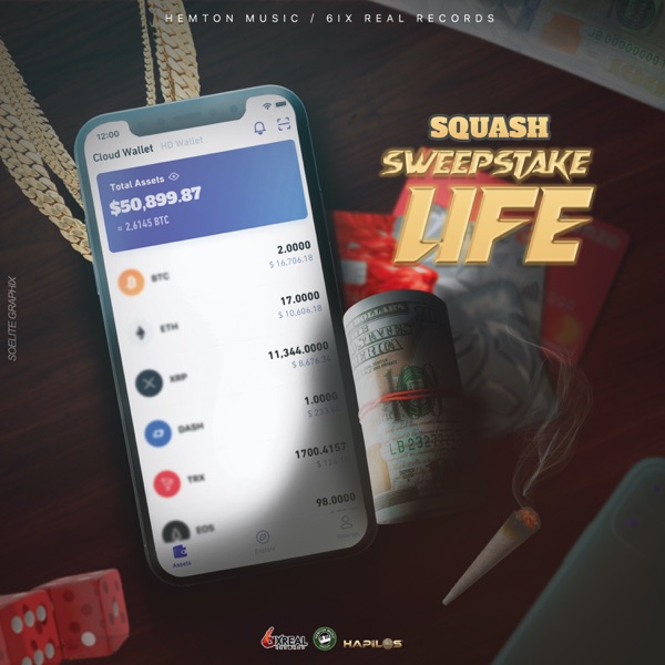 Sweepstake Life - Single album cover