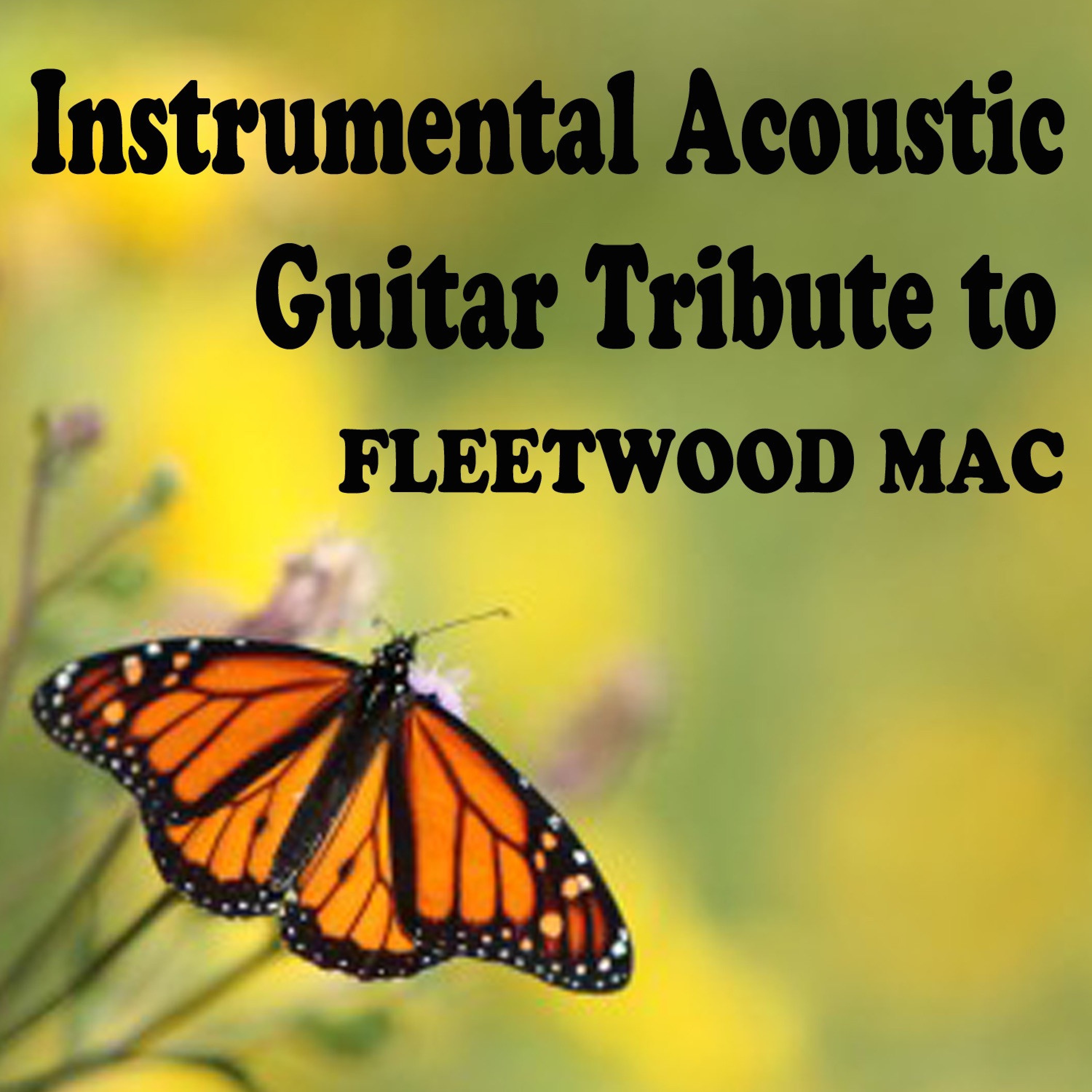 Instrumental Acoustic Guitar Tribute to Fleetwood Mac album cover