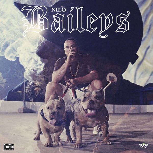 Baileys - Single album cover