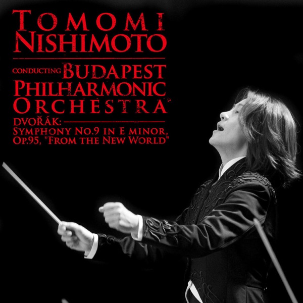 Dvořák:SYMPHONY NO.9, FROM THE NEW WORLD album cover