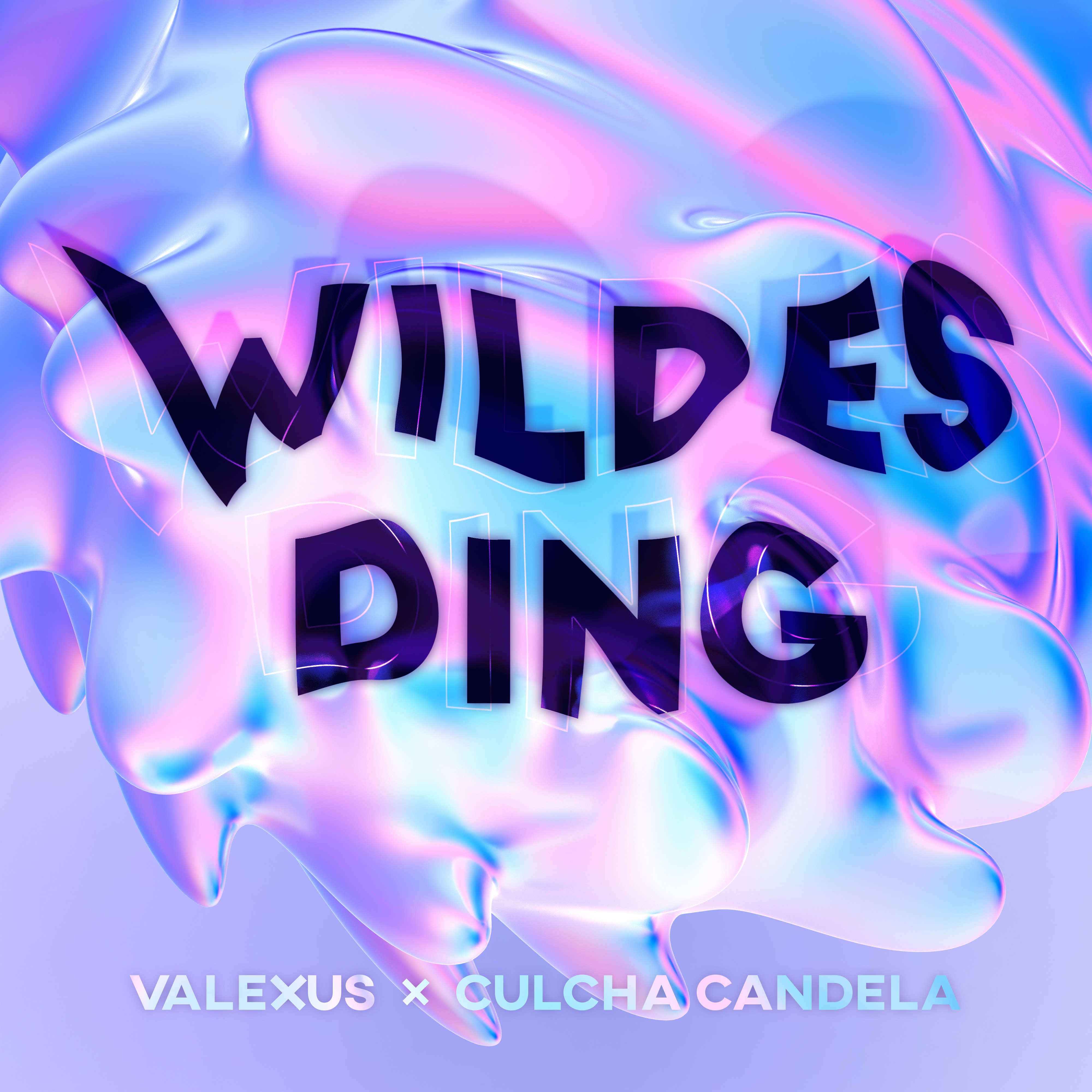 WILDES DING - Single album cover